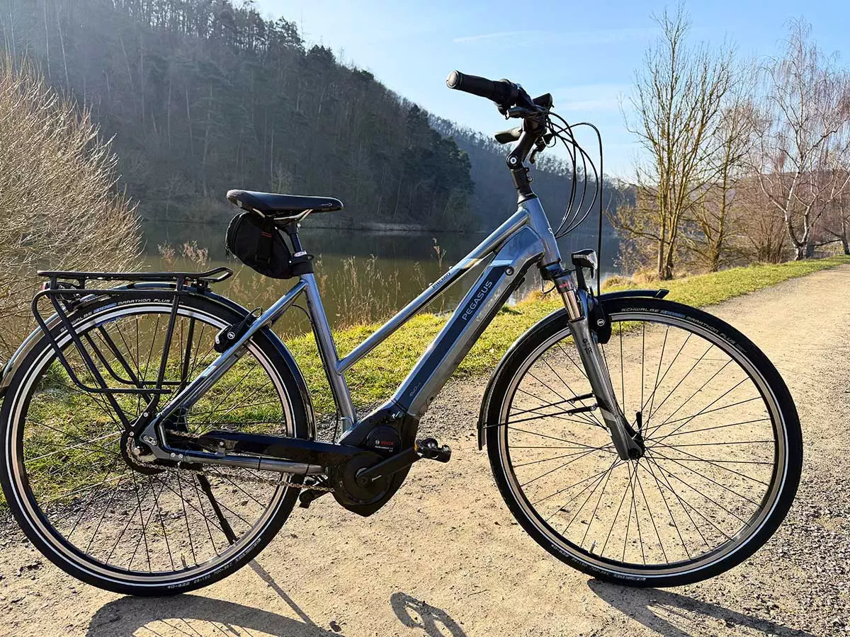 Pegasus 53cm